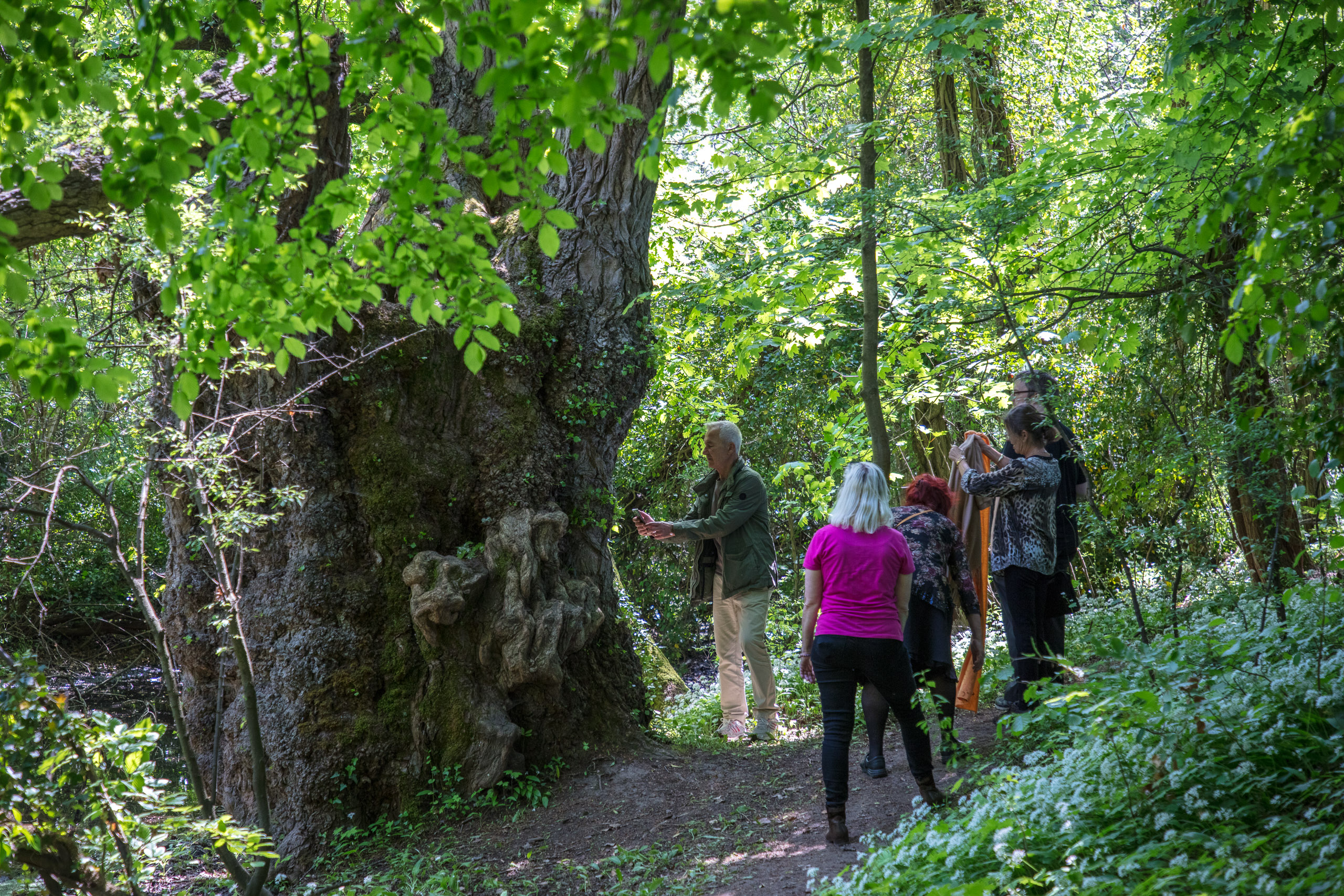 20220508124914 DP017545